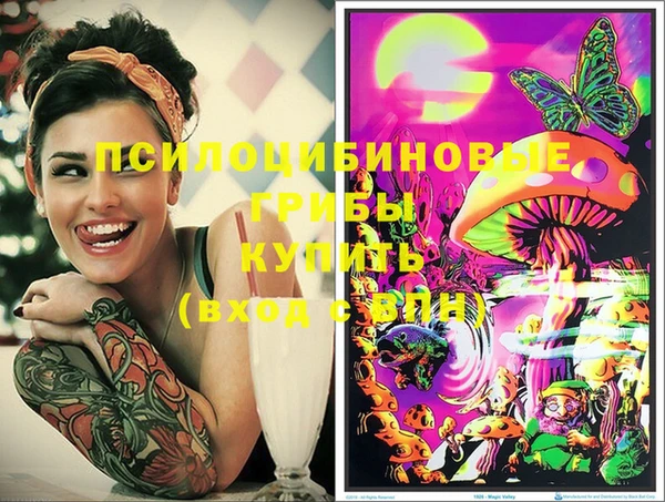 ECSTASY Новодвинск